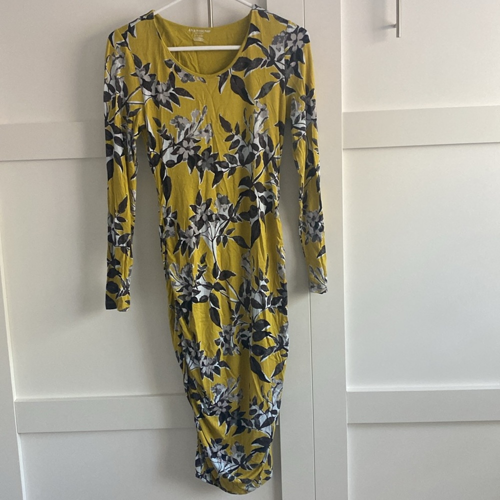 Pea in the Pod Maternity Dress